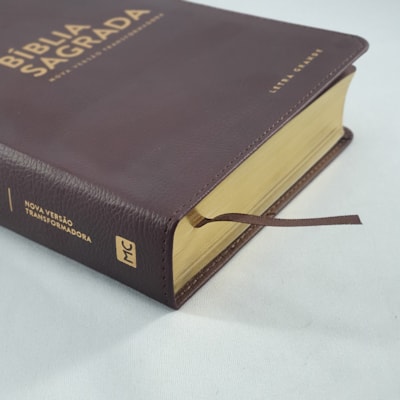 image_50444b1c-2328-47a2-bc2e-d6bc5e220f8b