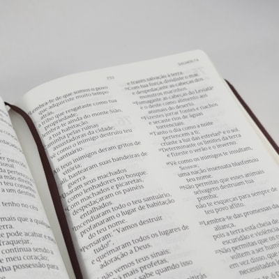 image_6343713e-f41c-4b76-a983-08f0a57ba310