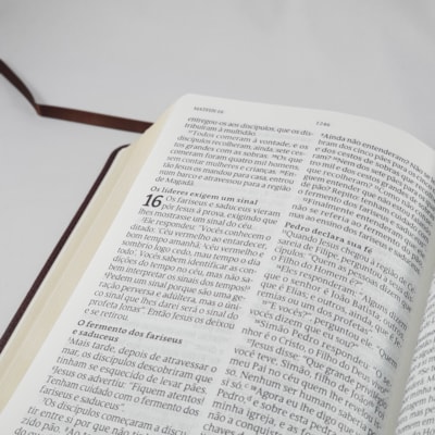 image_4396dd8c-5db3-4643-840b-c960981bae92