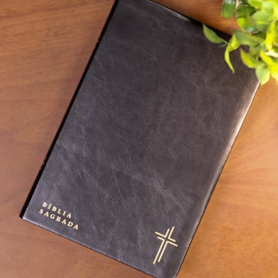 image_57de15df-c0c8-457b-8da6-f3e7b54c125d