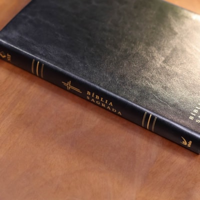 image_c868db3e-19f7-4d5c-a03d-d7cfa1c6b1d9