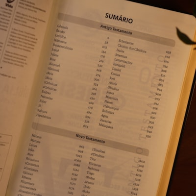 image_037c3d79-bfdf-4901-b39a-932a5fc06be8