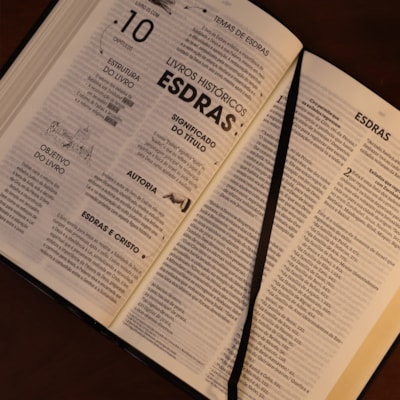 image_8b64c6d9-1f83-4465-8550-3c0080f59554