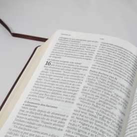 Segunda imagem do produto Bíblia Sagrada | NVT Letra Grande | Preta Luxo