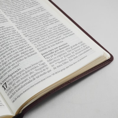 image_c931b591-f986-4611-9c18-15a1ede5a86f