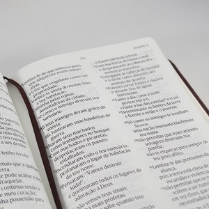 Bíblia Sagrada | NVT Letra Grande | Preta Luxo