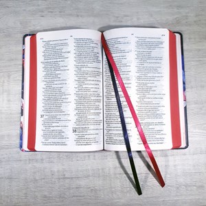 Bíblia Sagrada | NVT | Letra Normal | Capa Dura Aroma Azul e Pink