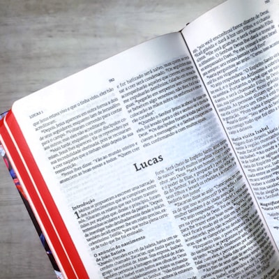 image_4575efe2-b176-44a3-8f33-037df530bf19