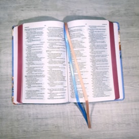 Segunda imagem do produto Bíblia Sagrada | NVT | Letra Normal | Capa Dura Aroma Celeste