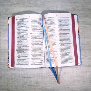 Bíblia Sagrada | NVT | Letra Normal | Capa Dura Aroma Celeste
