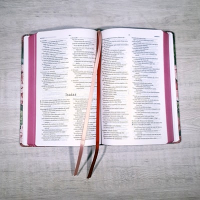 image_17ac8dc0-b443-4c53-bf2e-5b0990bfa9da