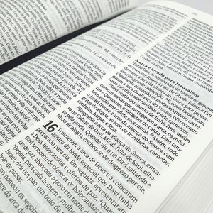 Bíblia Sagrada | NVT | Letra Normal | Capa Fluir do Espírito