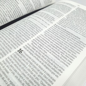 Segunda imagem do produto Bíblia Sagrada | NVT | Letra Normal | Capa Golden Eagle