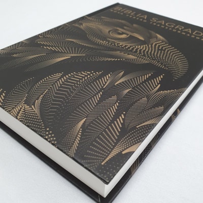 image_34a5be5a-b2ed-4fce-8d12-f0559df59290