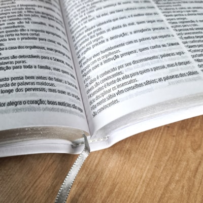 image_e7e012b2-fa7c-478c-a931-620d254d81a4