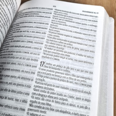 image_362537d6-1596-4af1-b9ff-b6e3ef8e437c