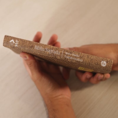 image_26ffcb60-6c94-4be5-beef-acaafbcb740a