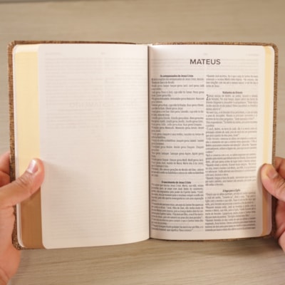 image_b519df09-9efc-47dd-91a6-45a5147880bd