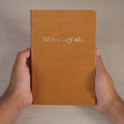 image_fb2f2fe7-6af1-4032-806a-ca561449c577