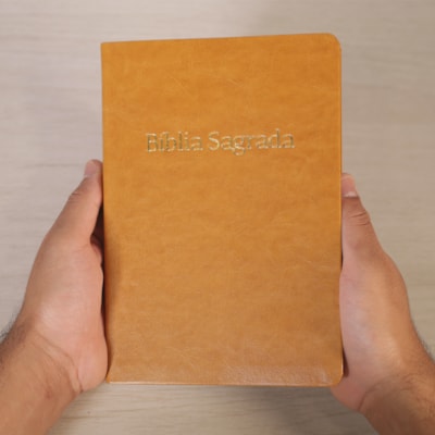 image_15af8446-26f9-4cfe-8256-c5d3f9542de3