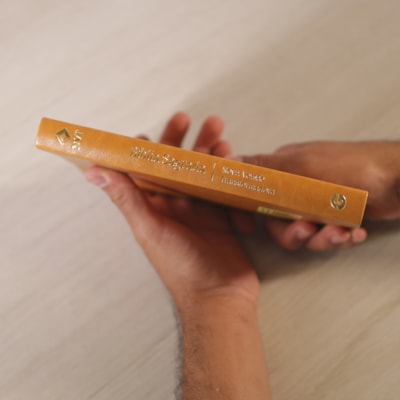 image_74df2343-8288-4bfd-b478-7d130b885cf7