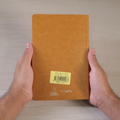 image_b4d44172-9d52-4cee-86de-a7333b3d6b83