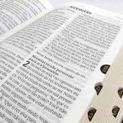 image_3d79ff85-cd84-4fe3-a390-ea509bd4d72d