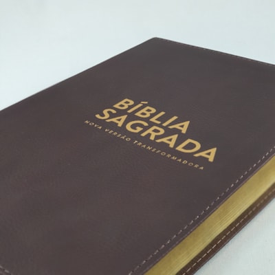 image_23bbd0e3-f689-4d79-933b-014f38f7bac3