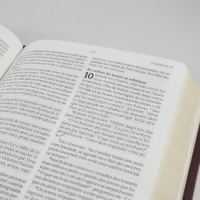 image_e218bd06-4177-4452-8891-ead40c28a97d