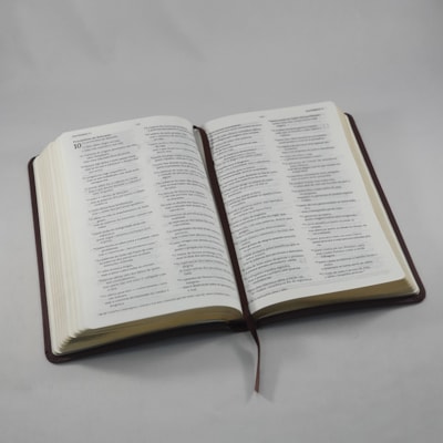 image_d5befa7a-74dd-4107-b711-02c0bc1cad40