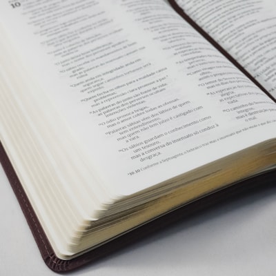 image_1802bcab-8a5e-4c5c-8352-f2e034ff466c