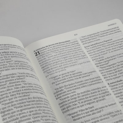 image_821d73e4-c069-44bc-96bb-f8df211b3a4c