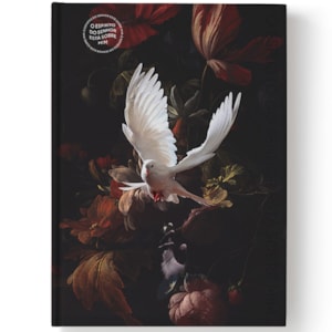 Bíblia Sagrada O Espírito Santo Está Sobre Mim | NAA | Letra Normal | Capa Dura