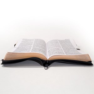 Bíblia Sagrada | O Poder da Oração | ARC | Letra Grande | Capa Semi Luxo C/Ziper