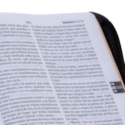 image_06d56b6d-e0de-4b78-bf5f-a5131ae742da