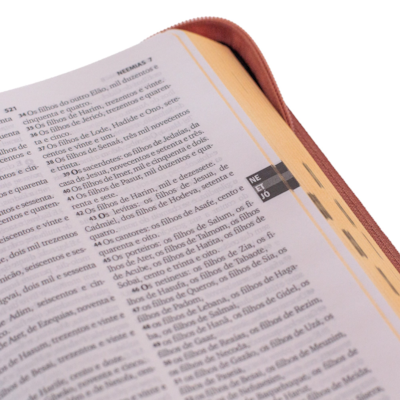 image_0b765667-e2ff-40a6-8a4b-a56d22330ec2