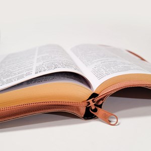 Bíblia Sagrada | O Poder da Oração | ARC | Letra Grandel | Capa Semi Luxo Caramelo C/Ziper S/Borda