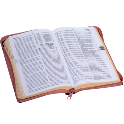 image_8edc2676-c29f-4e80-8012-496c237fcda4