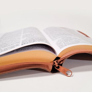 Bíblia Sagrada | O Poder da Oração | ARC | Letra Normal | Capa Semi Luxo Caramelo C/Ziper