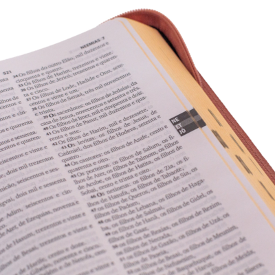 image_682c9cd5-2659-4b47-bc05-97158929fb01