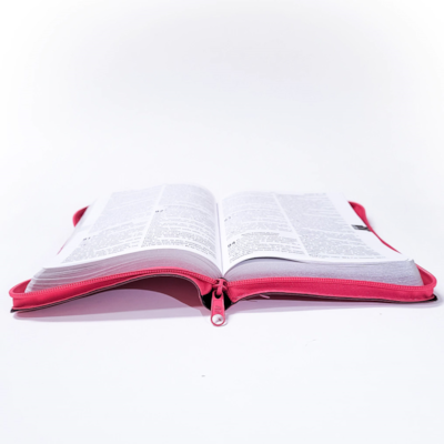 image_778ed6ea-70b7-4cb8-bfa6-516ae6b2bf84