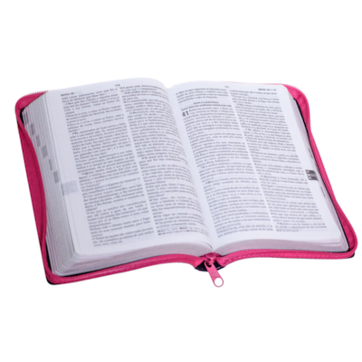 image_87836d9e-dc7e-41f6-b38a-45f22bafaf4c