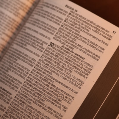 image_f9be9e69-849a-4d1e-9ecb-f57041464232