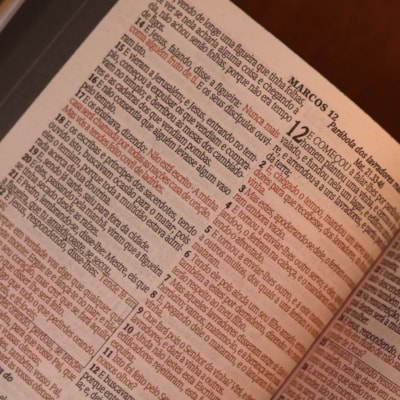 image_74b8bcd8-1ba4-4884-9c5d-ae236f707598