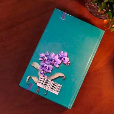 image_f52a4064-f241-4f36-87c3-8dcab92afef4