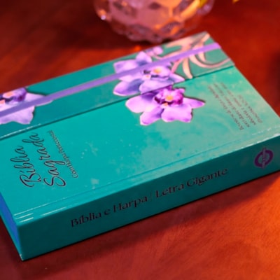 image_cdf0ac7d-7229-433b-a254-317aceb20fe2