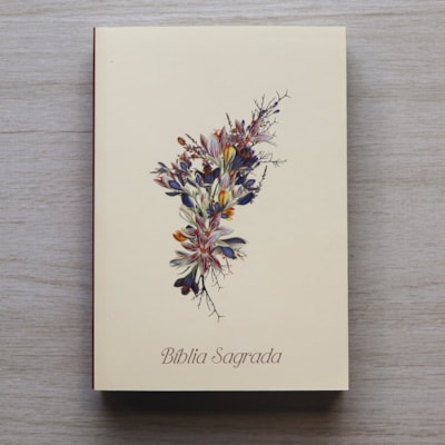 image_832615c3-a4f3-4e6e-a7fd-663d629b0267