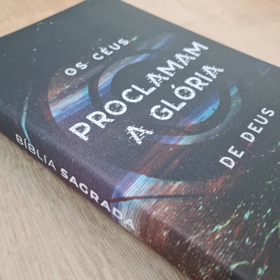 image_d5ca6113-d0fa-4f9f-b738-a16ff3cdd12b