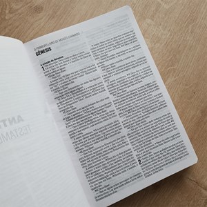 Bíblia Sagrada Os Montes | NAA | Letra Normal | Capa Dura