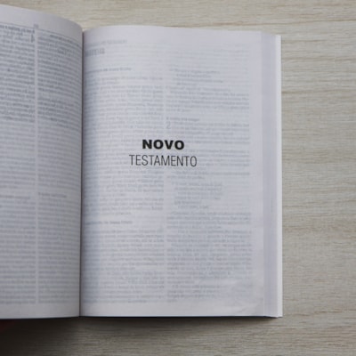 image_af4724a9-8a31-41be-9b6f-b290aa204948